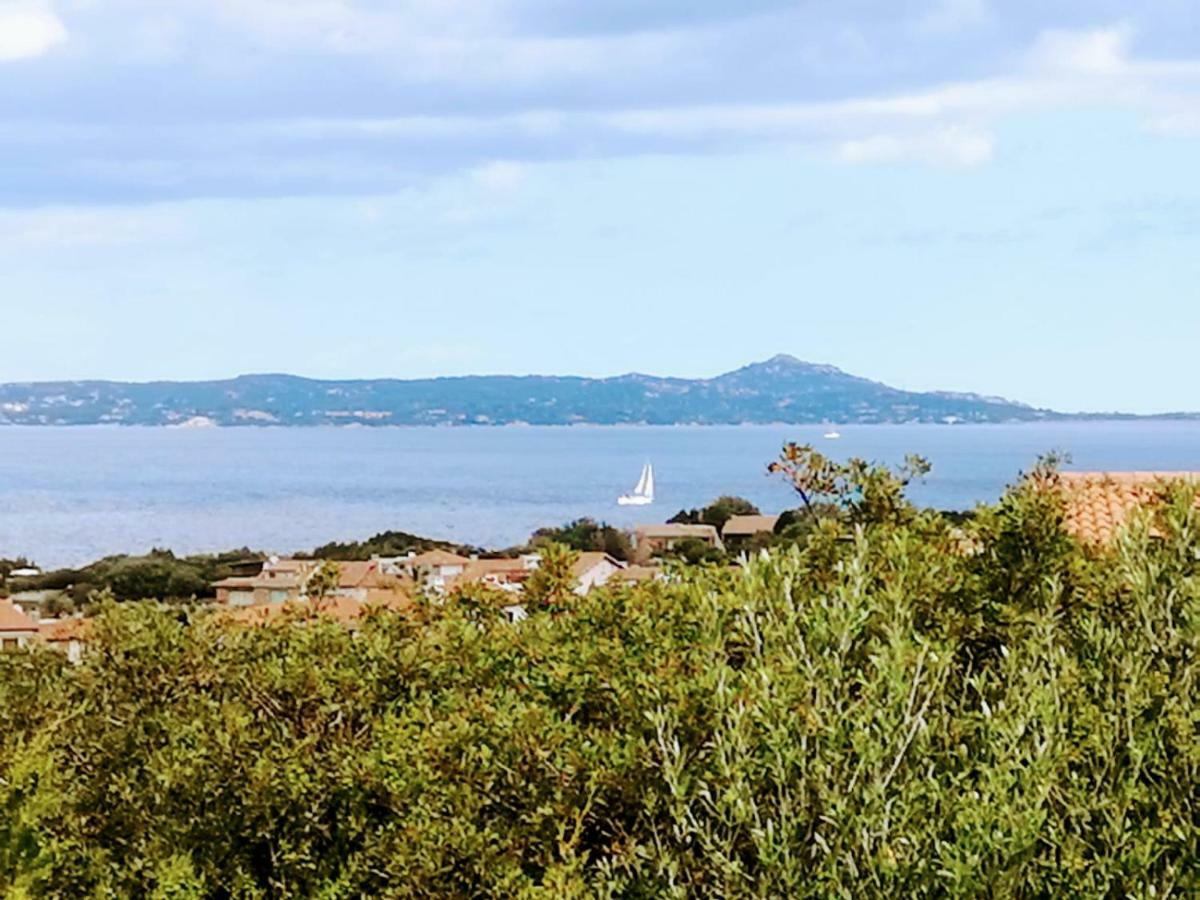 Geco Di Giada Art Suites - Adult Only Porto Rotondo Eksteriør billede